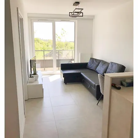 Apartment 17 *
